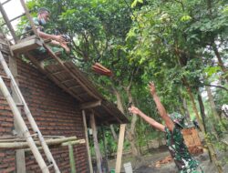 Bedah Rumah, Satgas TMMD 116 Bondowoso dan Warga Kompak Pasang Genting