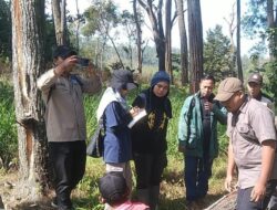 KPH Bondowoso Melakukan Praktek Tebangan Di Wilayah BKPH Wonosari, Untuk 6 Orang Calon Rimbawan