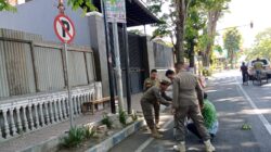 Oprasi Bersama Satpol PP Bondowoso Tertibkan Spanduk, Bener, Baliho dan Umbul-umbul