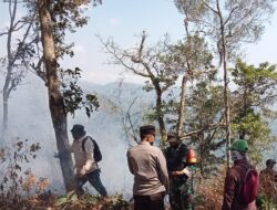 Lagi-Lagi Terjadi Kabakaran Hutan (Karhutla) Begini Penjelasan RPH, BKPH Sumber Malang