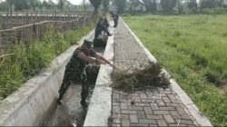 Antisipasi Luapan Air Babinsa Koramil 0822/09 Pujer Gotong Royong Bersihkan Saluran Irigasi Dan Jalan
